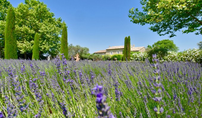Provence Luberon luxury villa rentals with heated private pool and staff chef near Gordes