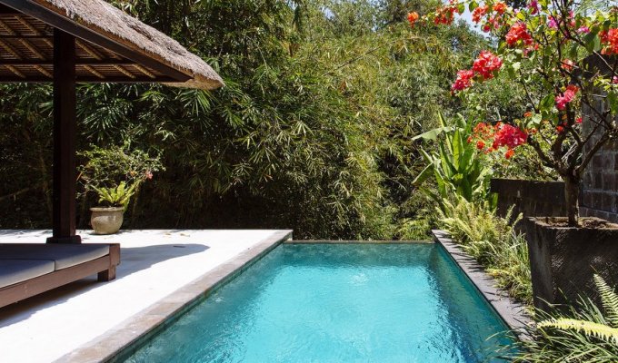 Indonesia Bali Villa Vacation Rentals in Canggu with private pool and staff