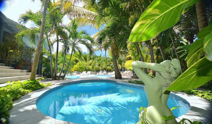 St Martin luxury villa vacation rental with private pool and close to Orient Bay village 