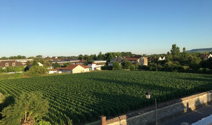 Champagne holiday home rental in the heart of the vineyard, 5 min Epernay