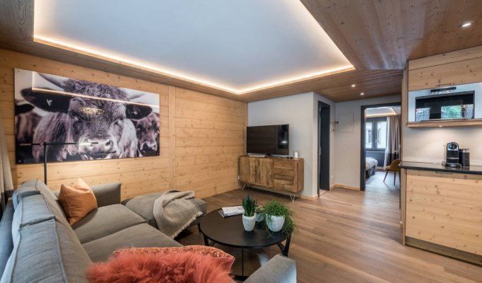 Zermatt luxury ski apartement rental
