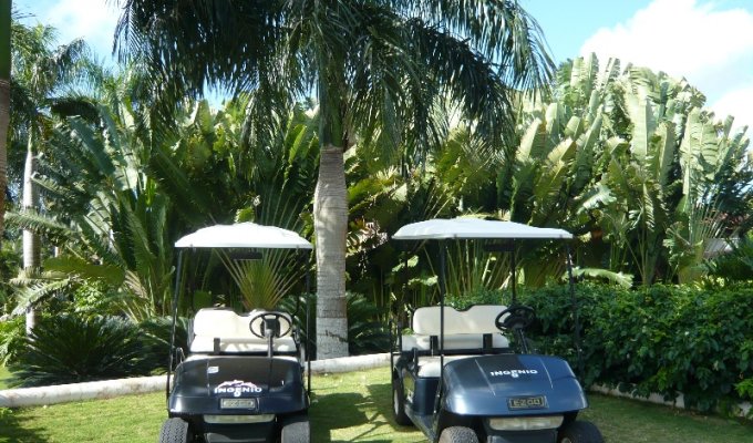 Your 2 private Golf Carts, each one carrying 4 passengers