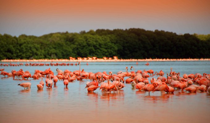 Merida Mexico Beach House Rentals Merida Mexico Beach House Rentals