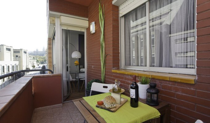 Apartment to rnet in Barcelona Wifi Plaza España pool terrace AC