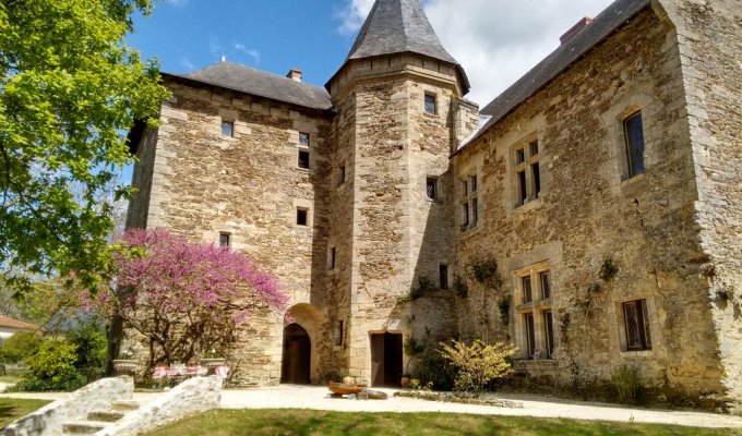 Pays de la Loire Castle for rent with pool in the heart of Loire Valley close to Angers