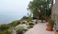 Saronic Islands - Aegina photo #17