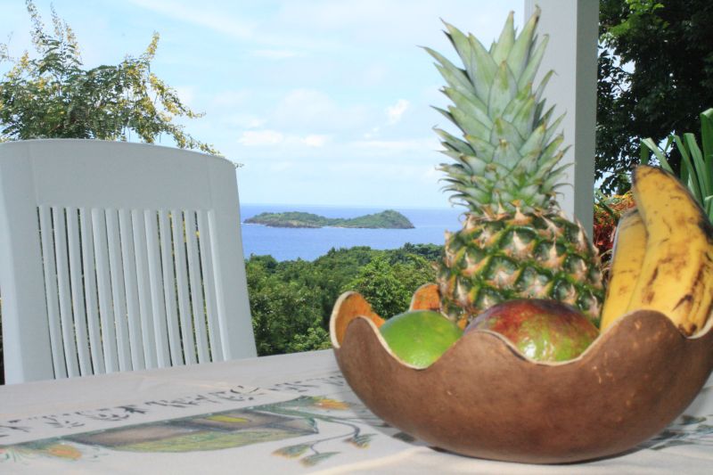 Guadeloupe Villa Rentals F.W.I Martinique Vacation Rentals Caribbean