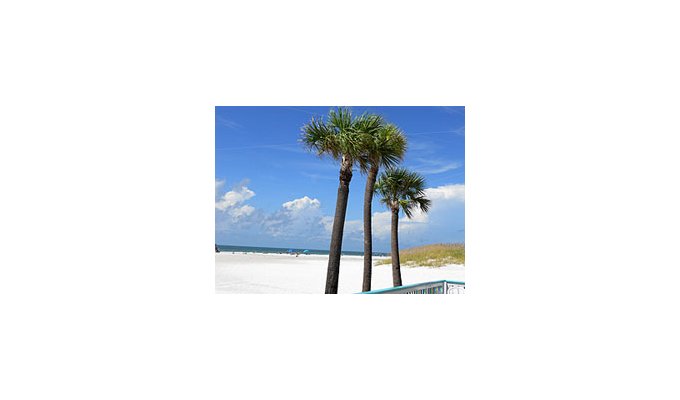 Vacation Rental Luxury Villa Clearwater Florida