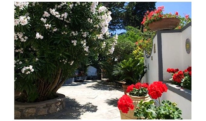 CAPRI HOLIDAY RENTALS - Charming House vacation Rentals in a residential area - Italy