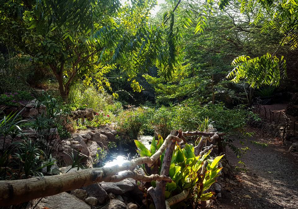 Israel Outdoor Activities Botanical Garden In Eilat