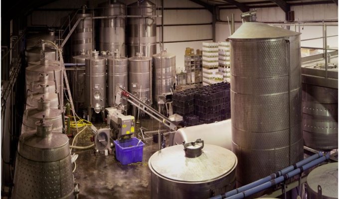Cellar