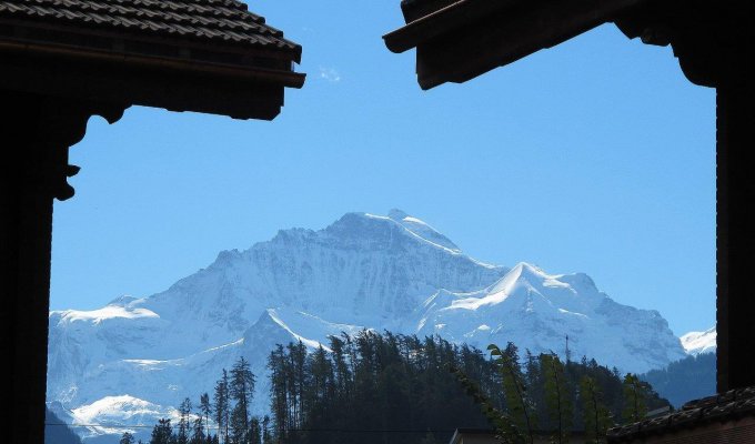 The great view on mount Jungfrau