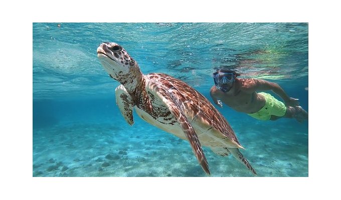 Day Cruise in the Leeward Islands from Saint François Marina to Petite Terre and Marie-Galante