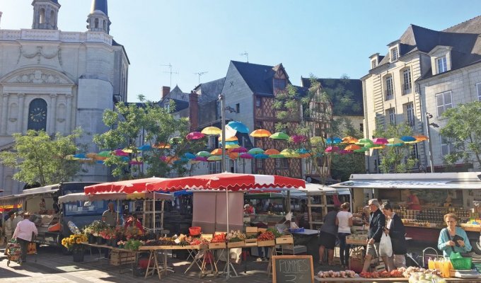 Pays de la Loire Holiday Rental Apartment Saumur near the Loire and the Castle