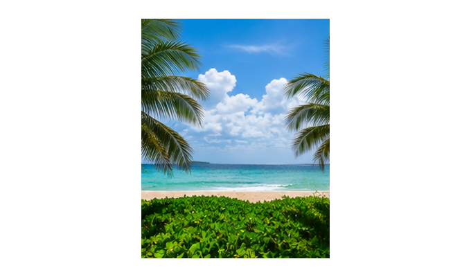 Beach