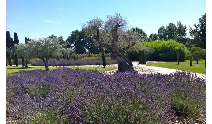 Saint Remy de Provence luxury villa rentals with private pool & staff chef