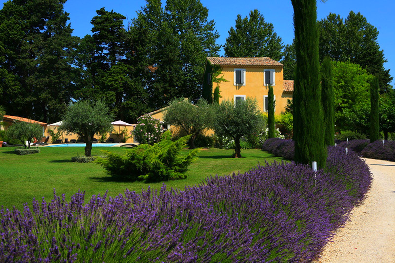 Provence luxury villa rentals Avignon with heated private pool