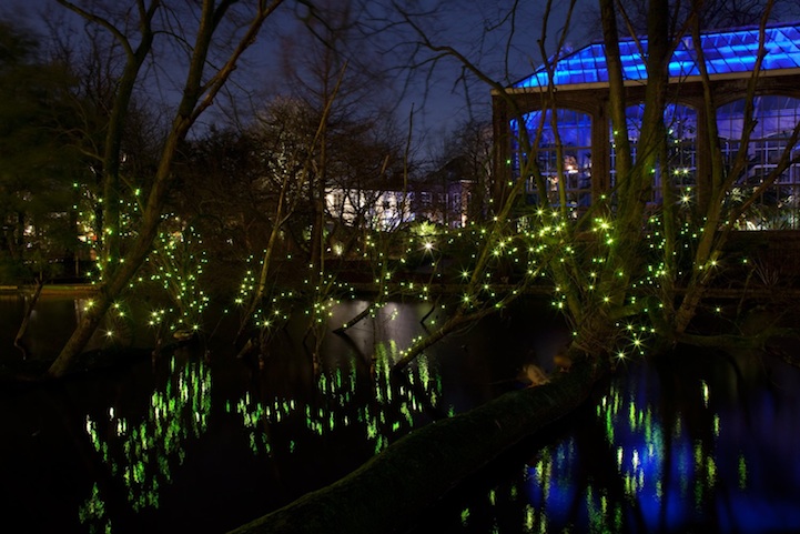 Malaysia Borneo Sabah with Klias River Fireflies