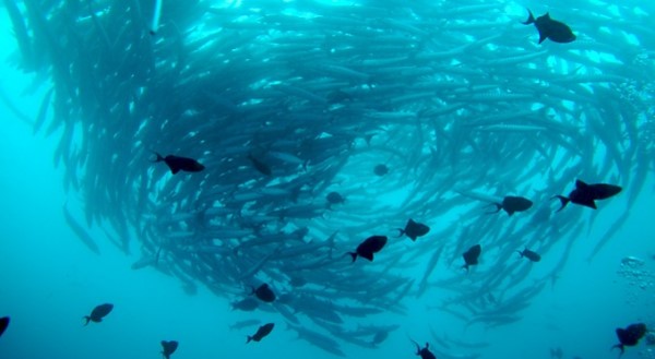 Malaysia Borneo Sabah with Mabul / Kapalai / Tun Sakaran 