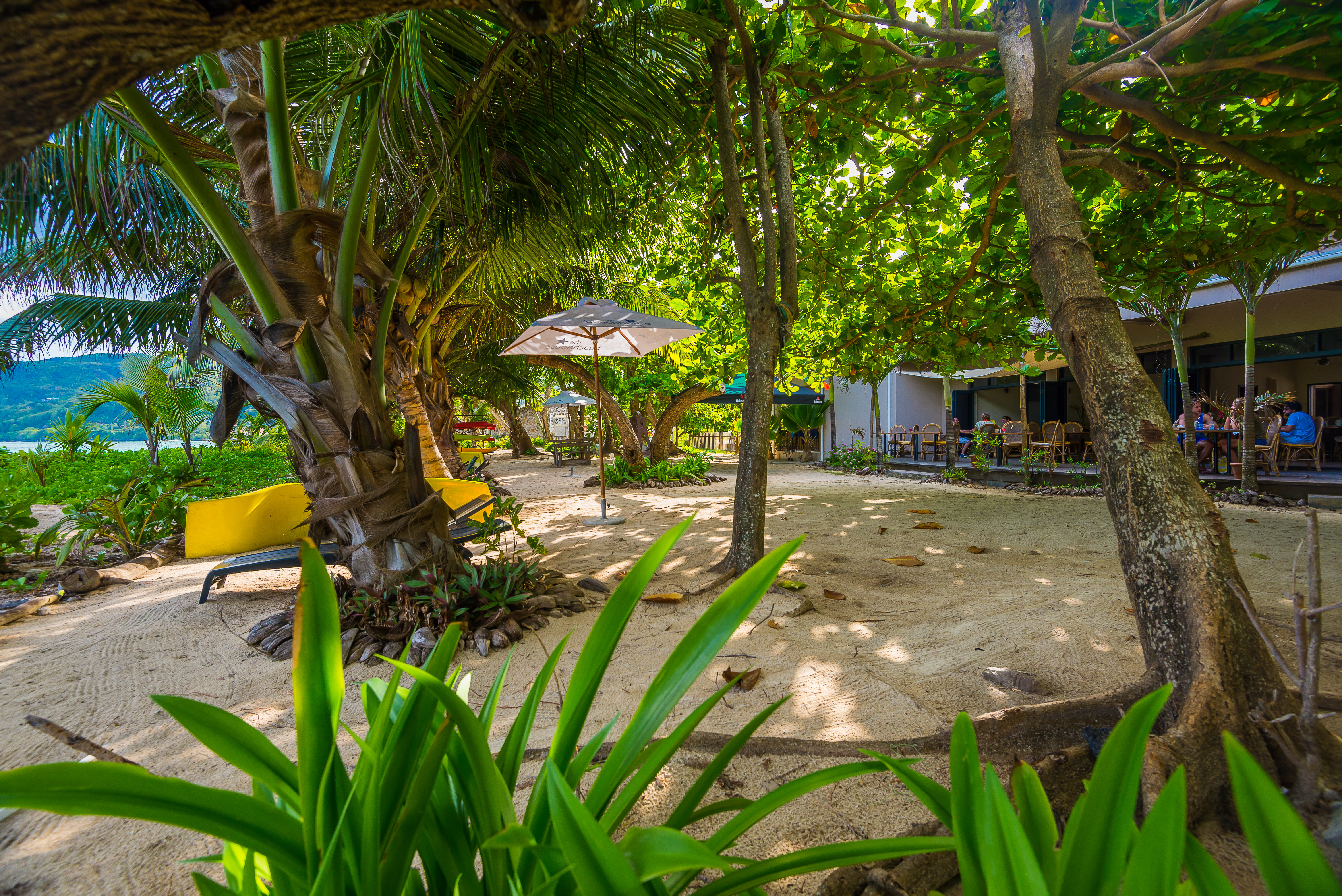 Mahe Beachfront Apartment Anse Royale Seychelles