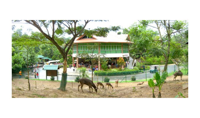Malaysia Borneo Sabah With Lok Kawi Wildlife Park