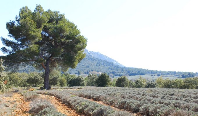 Provence Aix en Provence cottage rentals with pool