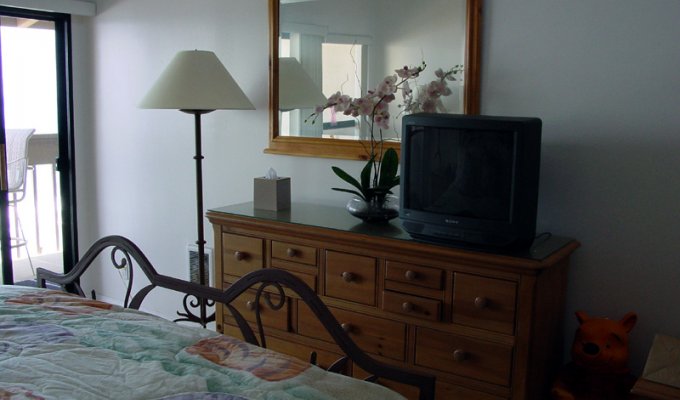 Apartment Condo Vacation Rentals close to San Diego, California