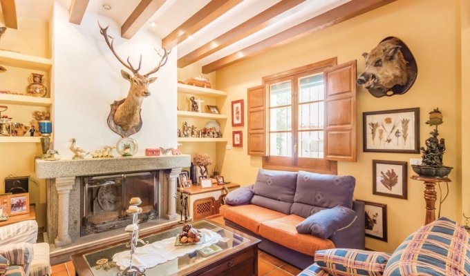 Living room with fireplace and country decor