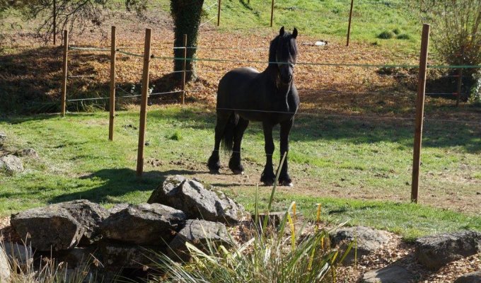 Vendee Holiday Home Rental  Puy du Fou for group