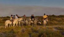 Park Camargue photo #8