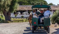 Park Camargue photo #12