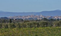 Chianti Siena photo #14