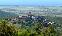 Lucca Pisa Coastline photo #14