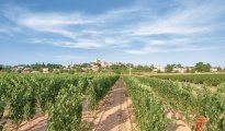 Béziers photo #19