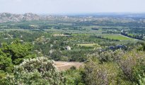 Saint Remy de Provence photo #28