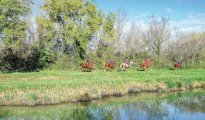 La Grande Motte photo #29