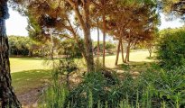 Quinta do Lago photo #14