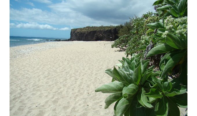 Reunion island Beachfront villa rental in St Gilles les Bains with private pool