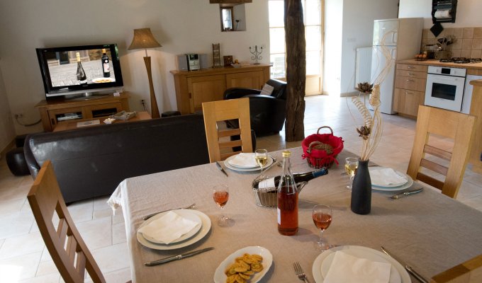 Vendee Holiday Home Rental Fontenay le Comte with pool and spa available