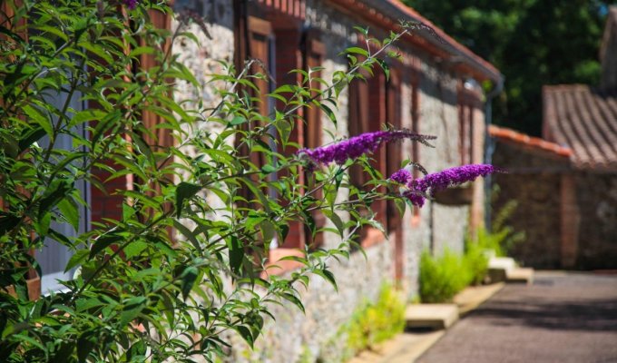 Vendee Holiday Home Rental Saint Gilles Croix de Vie with heated pool available