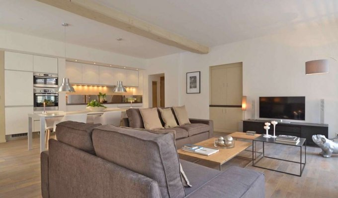 Paris Chatelet Louvre Luxury Apartment rental 5mns walking from Louvre Museum