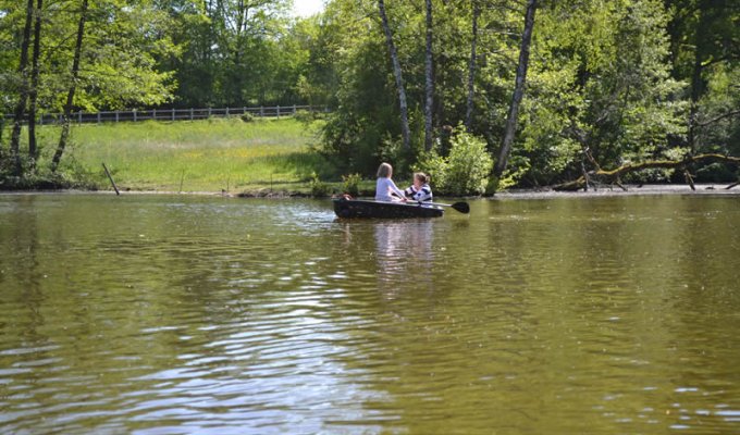 Pays de la Loire Holiday Home Rental  on the edge of a lake