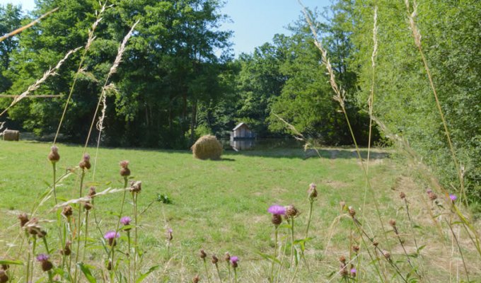 Pays de la Loire Holiday Home Rental  on the edge of a lake