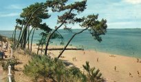 Arcachon photo #10