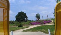 Puy du Fou photo #5