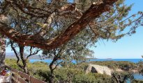 Porto Vecchio photo #1