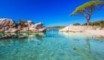 Porto Vecchio photo #12