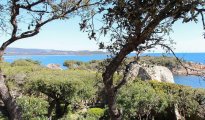 Porto Vecchio photo #9