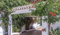Malaga photo #19