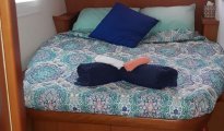 Bahamas photo #13